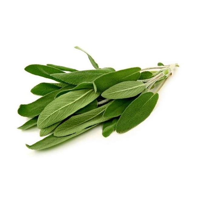 Picture of SAGE (bunch)